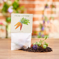 10x5 Flower Marbles in a "Carrots" Bag - Happy Easter — Ansicht 1