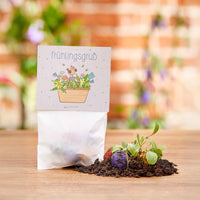 10x5 Flower Marbles in a Sachet Spring Greetings – Wildflower Seeds — Ansicht 1