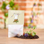 10x5 Flower Marbles in a Bag "Easter Bunny" - Wildflower Seeds