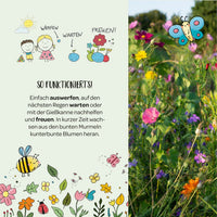 Nature adventure – 100 flower marbles | Seed bombs for kids | Sustainably handcrafted — Ansicht 3