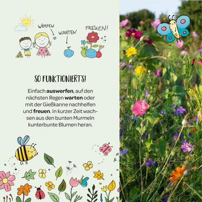 Nature adventure – 100 flower marbles | Seed bombs for kids | Sustainably handcrafted
