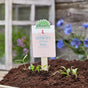 Seed Greeting "Wellington Boots Are My High Heels" - Wildflower Meadow Seeds from Die Stadtgärtner