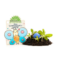 Flower Marble "Ella's Butterfly Meadow" - Wildflower Seed Ball — Ansicht 7