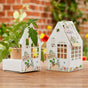 "Finn's Snack Garden" Greenhouse - Organic Tomato Growing Kit