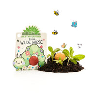 Blumenmurmel „Finns Wilde Wiese“ – Wildblumen-Seedball handgefertigt — Ansicht 2