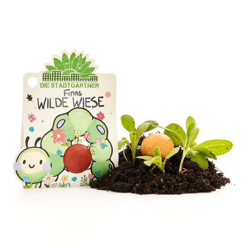Blumenmurmel „Finns Wilde Wiese“ – Wildblumen-Seedball handgefertigt — Ansicht 7