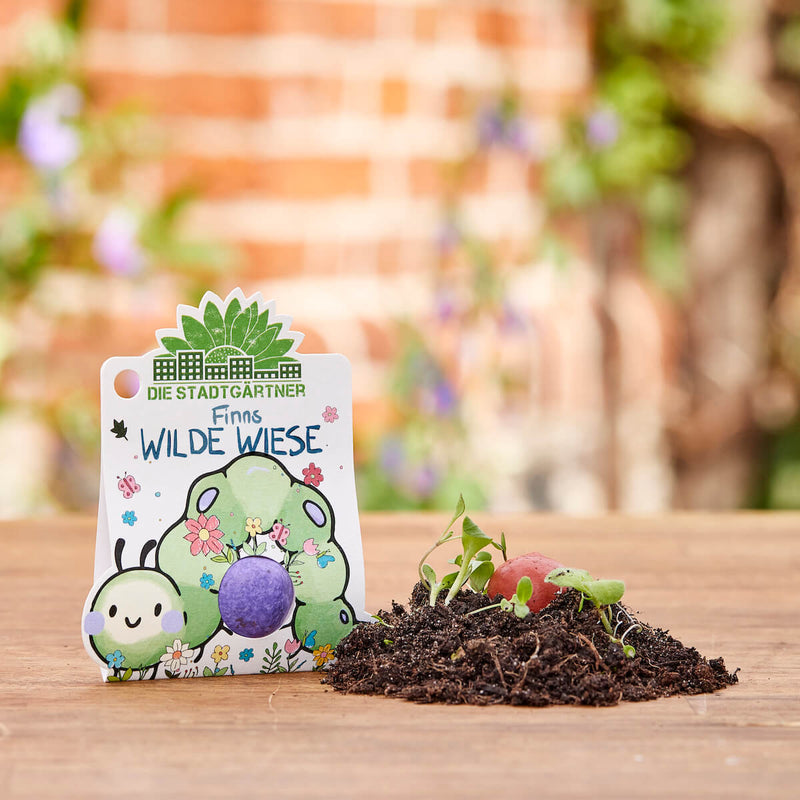 Blumenmurmel „Finns Wilde Wiese“ – Wildblumen-Seedball handgefertigt — Die Stadtgärtner