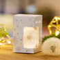 Wish Granter - Creative Money Wrapping with Dandelion