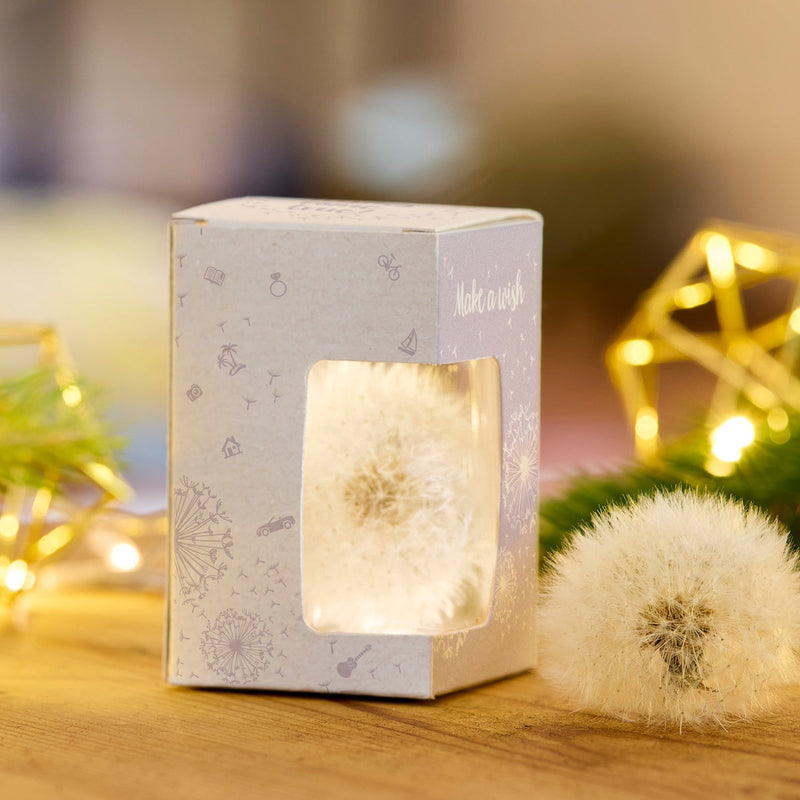 Wunscherfüller – Geld kreativ verpacken mit Pusteblume — Ansicht 10