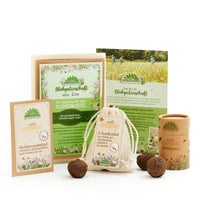 Blühpatenschafts-Geschenkset – Wildblumenwiese für 10 m² — Ansicht 2