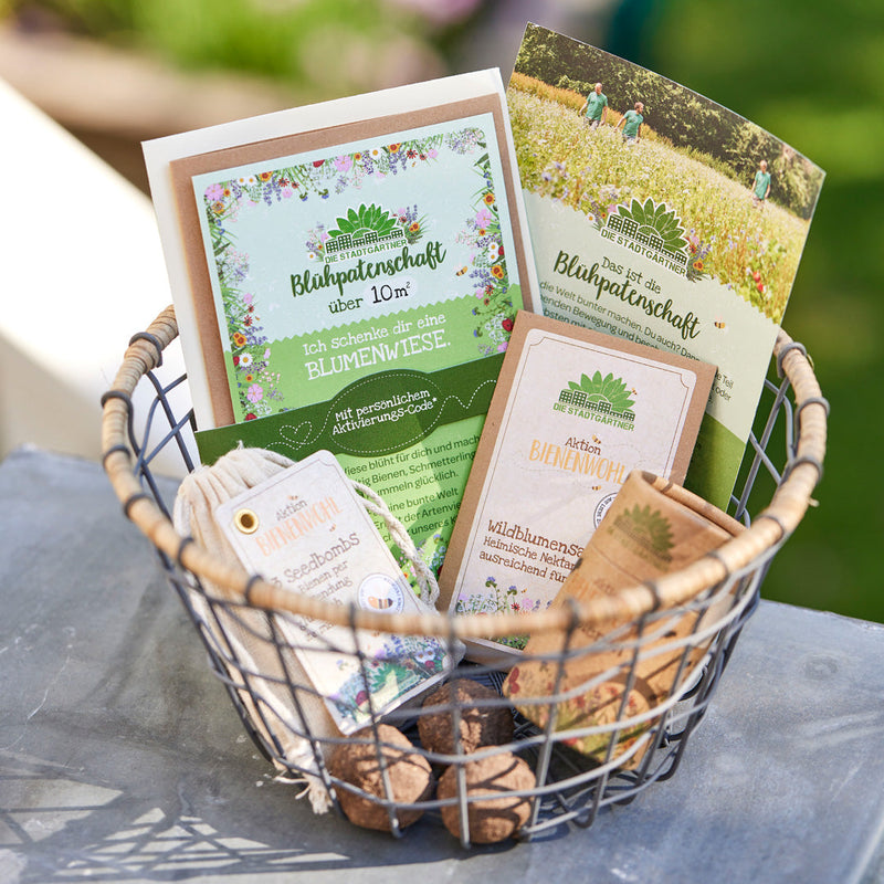 Blühpatenschafts-Geschenkset – Wildblumenwiese für 10 m² — Die Stadtgärtner