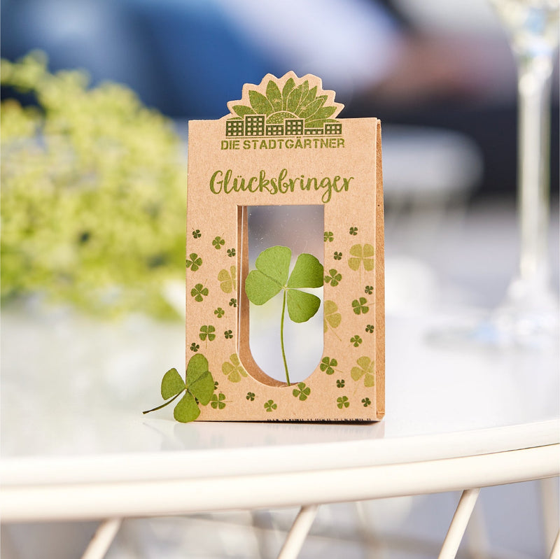 Glücksbringer – Echtes vierblättriges Kleeblatt in Glas — Ansicht 5