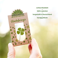 Glücksbringer – Echtes vierblättriges Kleeblatt in Glas — Ansicht 8