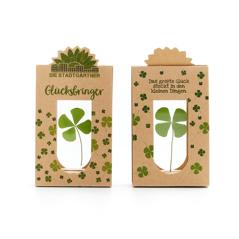 Glücksbringer – Echtes vierblättriges Kleeblatt in Glas — Ansicht 6
