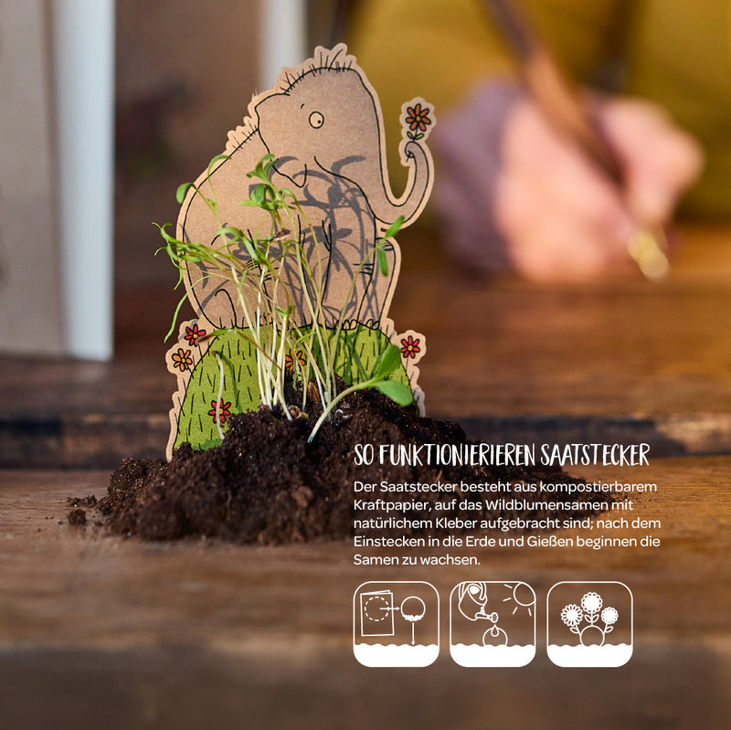 Osterkarte „Hurra, der Frühling kommt“ mit Wildblumen-Saatstecker — Ansicht 5