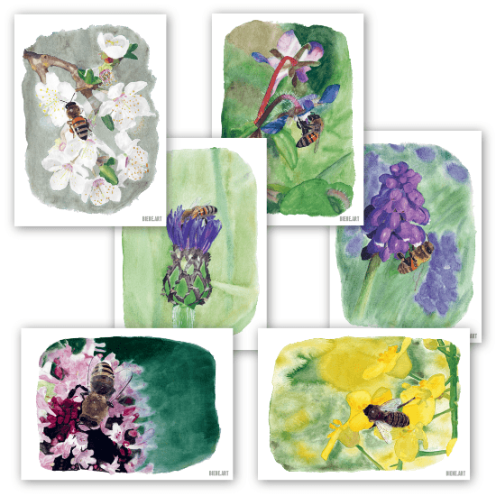 Set of 6 Bee Watercolor Postcards - Recycled Paper — BIENE.ART