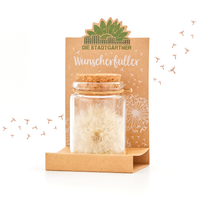 Großer Wunscherfüller – Pusteblume im Glas — Ansicht 2