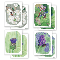 Bee Watercolor Postcard Set | 8 Cards Made from Recycled Paper — Ansicht 1
