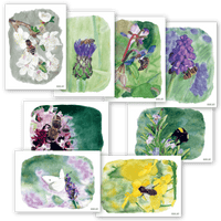 Set of 8 eco-friendly postcards – watercolor insect motifs | Recycled paper | DIN A6 — Ansicht 1