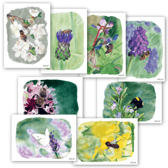Set of 8 eco-friendly postcards – watercolor insect motifs | Recycled paper | DIN A6 — BIENE.ART