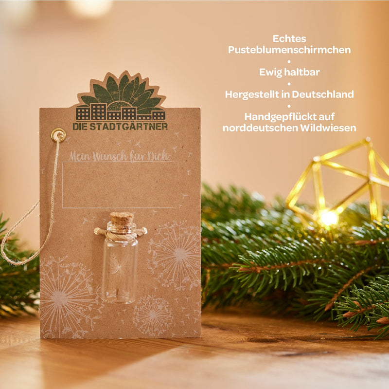 Little Wish Granter – Gift in a Jar by Die Stadtgärtner — Ansicht 5