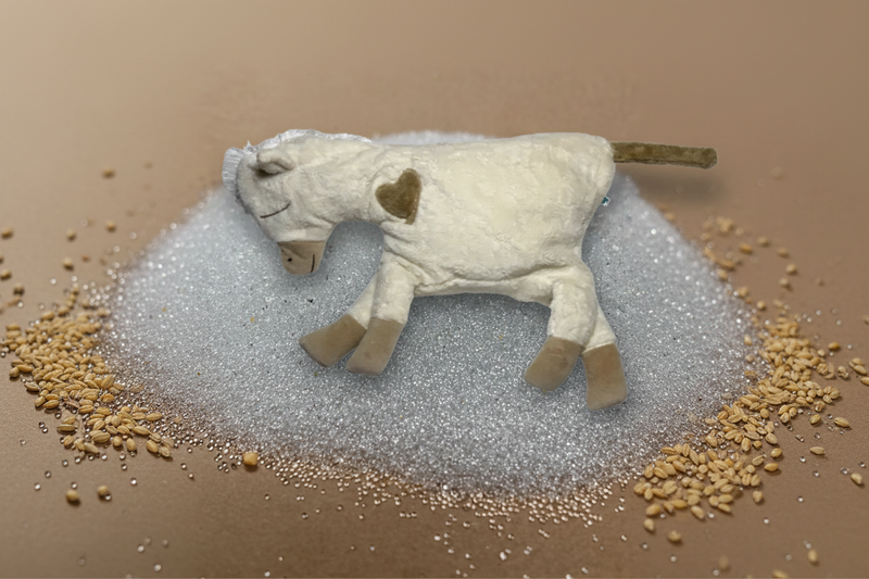 Bio Kuschelkissen Pferd – superweich, Handarbeit — Ansicht 17