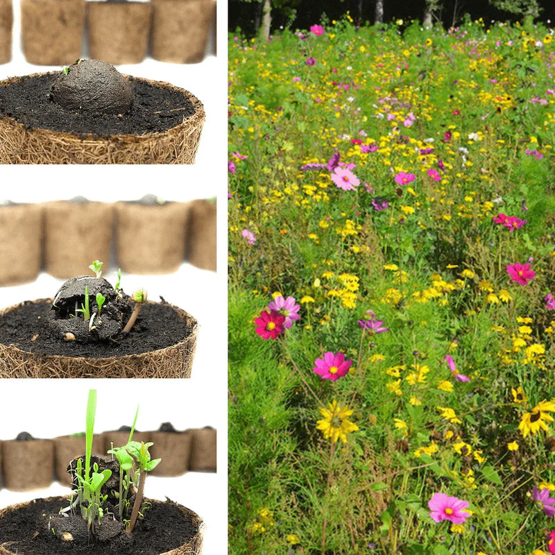 Loose Wildflower Seed Bombs unpackaged – DIY packaging 2–3 cm Ø — Ansicht 3