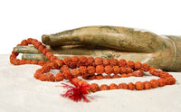 Rudraksha Mala – 108 Beads Meditation Dark Brown 10mm — Ansicht 2