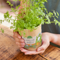Carrots from the cup – Growing kit for children with organic seeds
