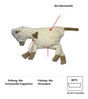 Organic Cuddly Pillow Horse – super soft, handmade