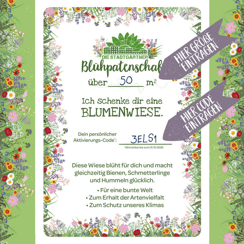 Patenschaft für 10 m² Blumenwiese zum Ausdrucken — Ansicht 4