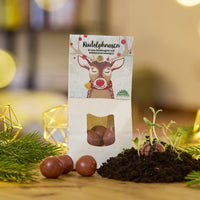 Rudolphnasen – Rote Blumenmurmeln mit Wildblumensaatgut — Ansicht 1