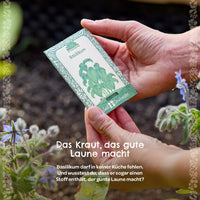 Organic Basil Seeds – Open-pollinated & EU certified — Ansicht 3