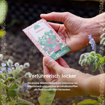 Wild Strawberry Seeds – open-pollinated & sustainably packaged