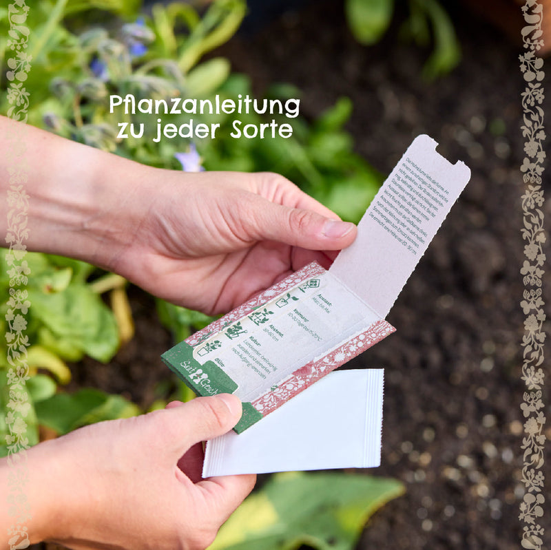 Peanut Seeds – open-pollinated and robust — Ansicht 6