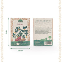 Peanut Seeds – open-pollinated and robust — Ansicht 4