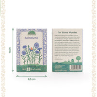BIO-Saatgut Kornblume – samenfest & essbare Blüten — Ansicht 4