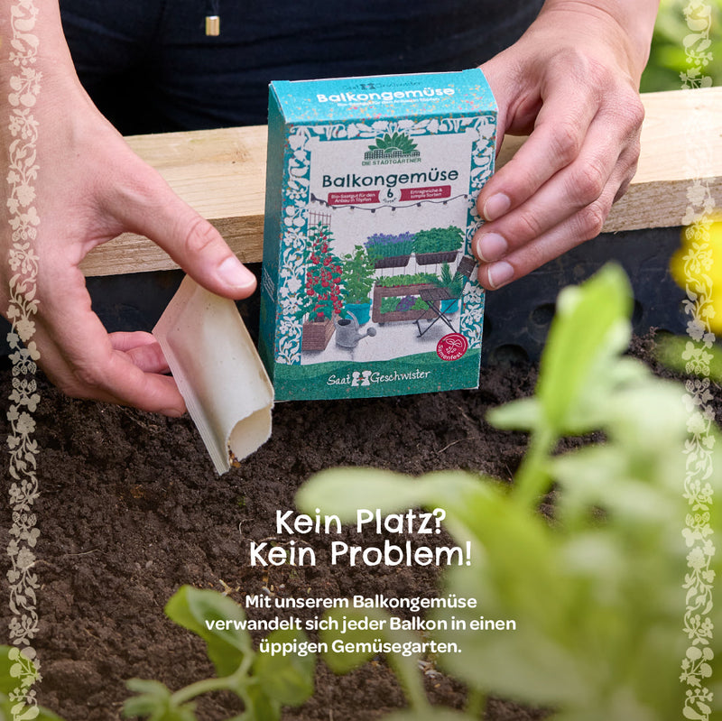 Organic Seed Set "Balcony Vegetables" - 6 Vegetable Varieties, Open-Pollinated — Ansicht 7