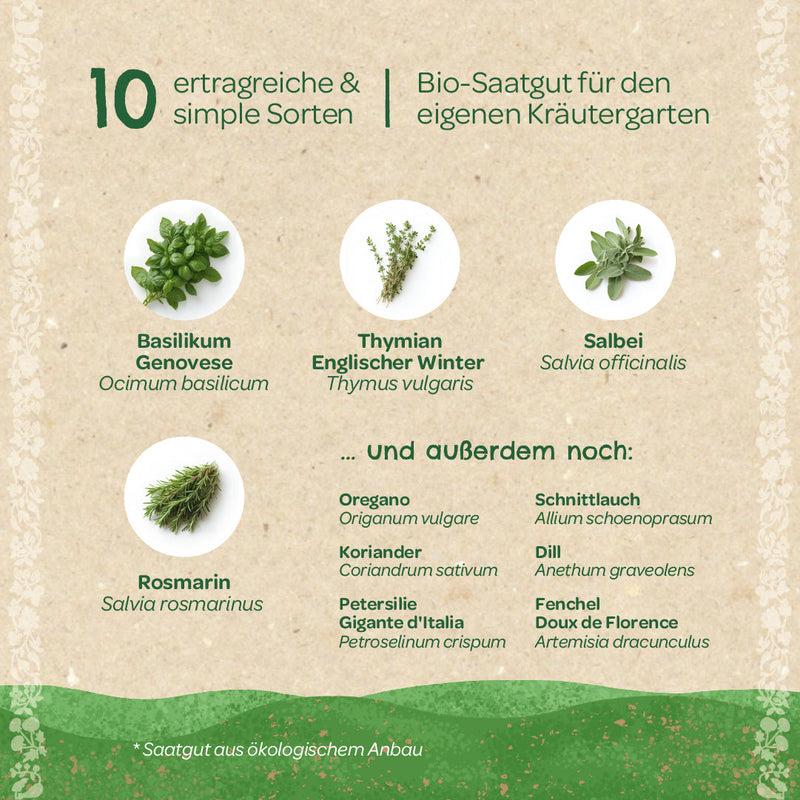 BIO-Saatgut-Set Küchenkräuter – 10 Sorten, samenfest, EU-Bio-zertifiziert — Ansicht 4