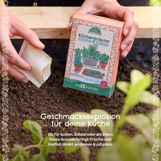 BIO-Saatgut-Set "Küchenkräuter"
