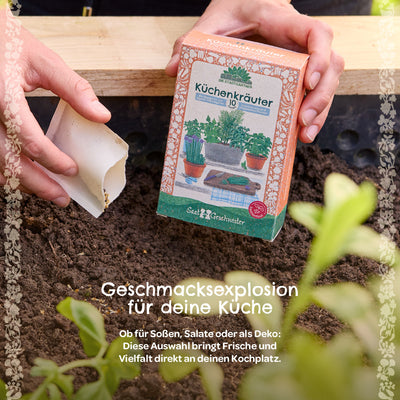 BIO-Saatgut-Set Küchenkräuter – 10 Sorten, samenfest, EU-Bio-zertifiziert
