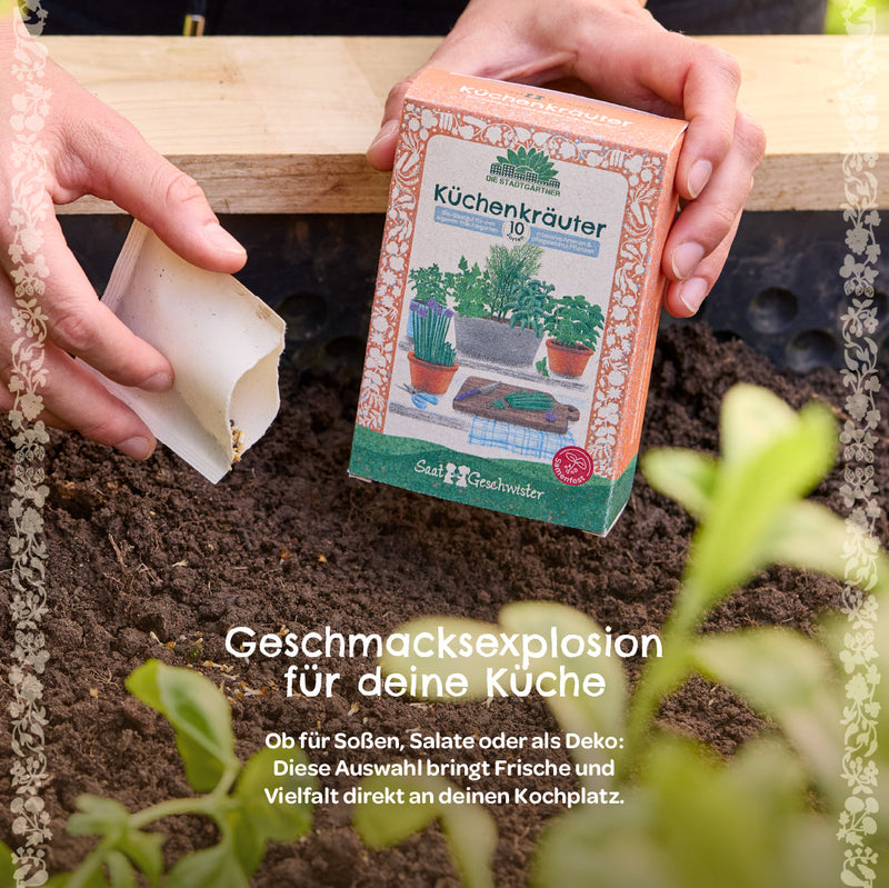 BIO-Saatgut-Set Küchenkräuter – 10 Sorten, samenfest, EU-Bio-zertifiziert — Ansicht 3