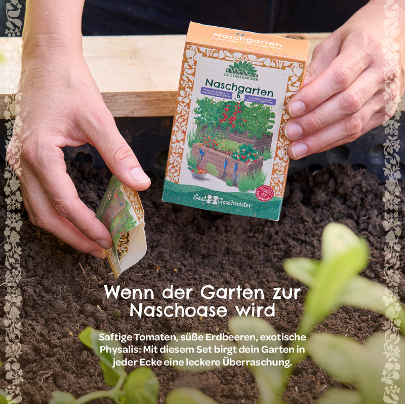 Organic Seed Set "Snack Garden" – 6 open-pollinated varieties for balcony & garden — Ansicht 3