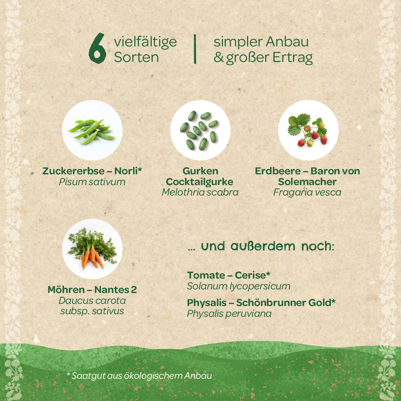 Organic Seed Set "Snack Garden" – 6 open-pollinated varieties for balcony & garden — Ansicht 4