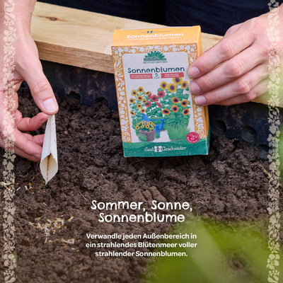Saatgut-Set „Sonnenblumen“ – 5 Sorten, samenfest