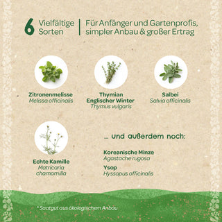 BIO-Saatgut-Set "Teekräuter"