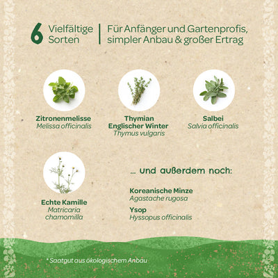 BIO-Saatgut-Set „Teekräuter“ – 6 Sorten samenfest
