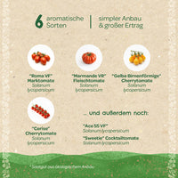 BIO-Saatgut-Set „Tomaten“ – 6 samenfeste Sorten, EU-zertifiziert — Ansicht 4