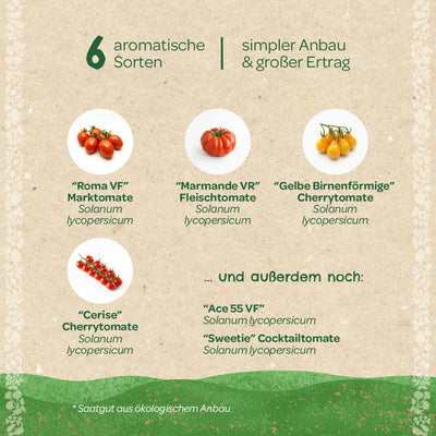BIO-Saatgut-Set „Tomaten“ – 6 samenfeste Sorten, EU-zertifiziert