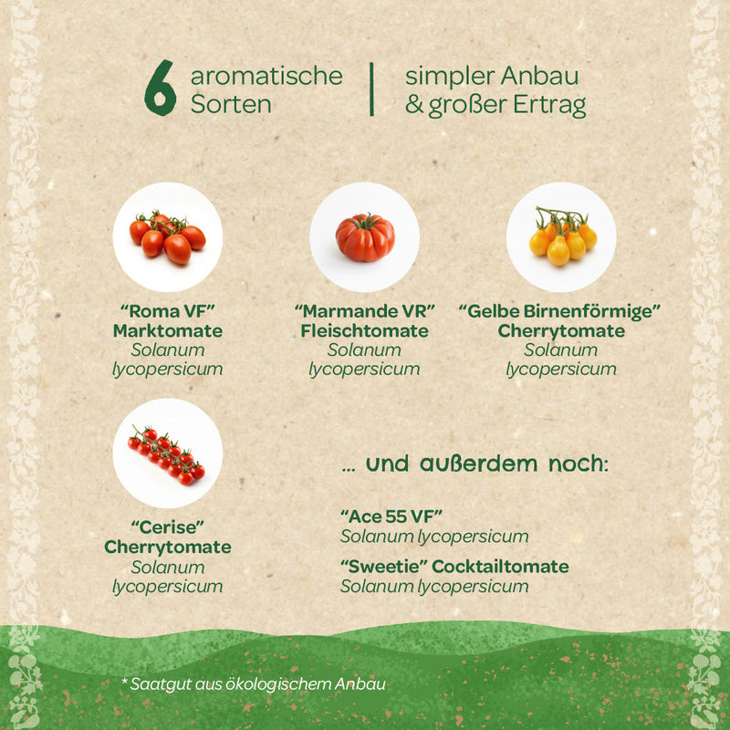 BIO-Saatgut-Set „Tomaten“ – 6 samenfeste Sorten, EU-zertifiziert — Ansicht 4